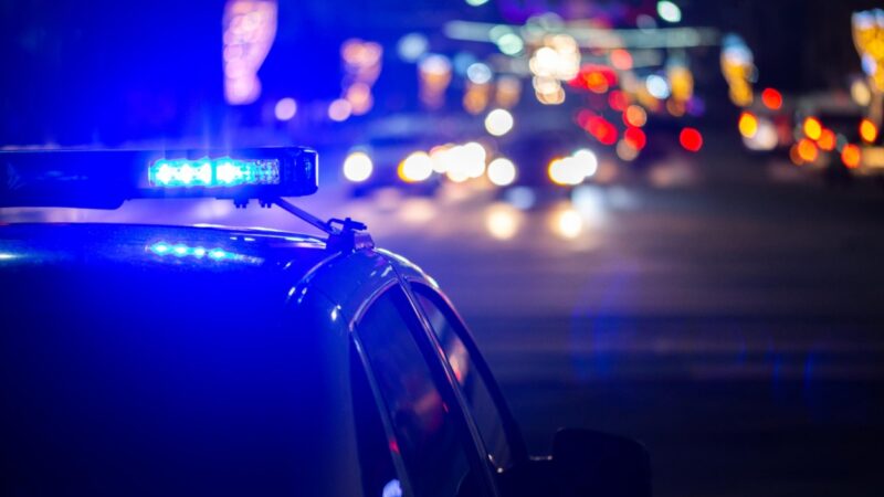 Policjanci i świadek wypadku drogowego docenieni za bohaterską postawę przez Komendanta Stołecznego Policji