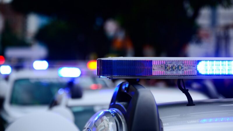 Zatrzymanie przestępczej grupy kradzieży aut hybrydowych w powiecie warszawskim