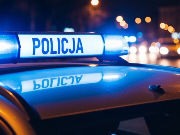 Warszawa: Mężczyzna usiłował wepchnąć kobietę pod nadjeżdżające metro, zatrzymany przez policję