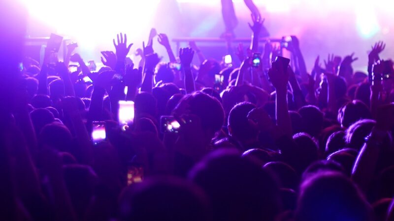 Kwiatowy Festiwal w Warszawie: Piknik, Warsztaty i Muzyczne Atrakcje!