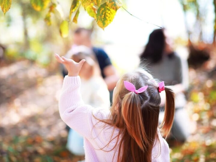 Adoptuj Sajgona, Batorka i Berda – daj im szansę na prawdziwy dom!