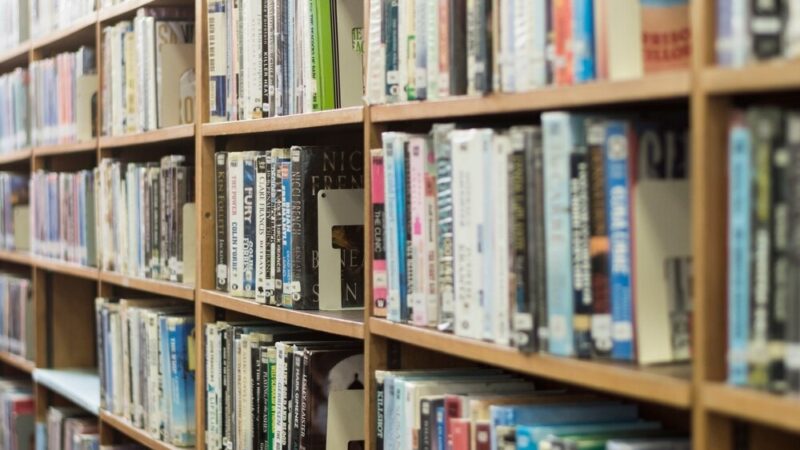 Książki i Psy: Miejsce, Gdzie Przyjaźń Rośnie!