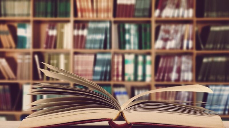 Ekologiczne przygody z Małgorzatą Kur w bibliotece dla dzieci!