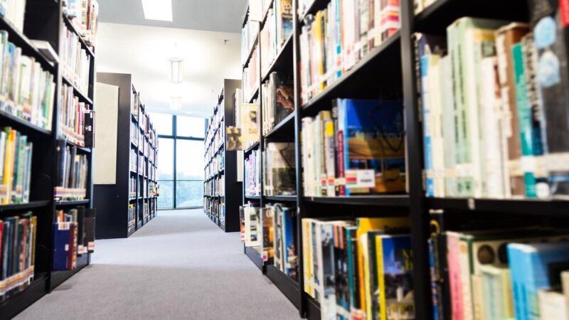 Zanurz się w magię japońskiej popkultury na wystawie mangi w Bemowie!