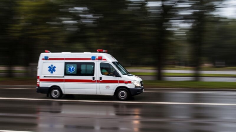 Nocna akcja ratunkowa: 78-latek uratowany z leśnych zarośli po grzybobraniu