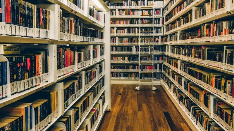 Literackie odkrycia, które zmieniają spojrzenie na świat