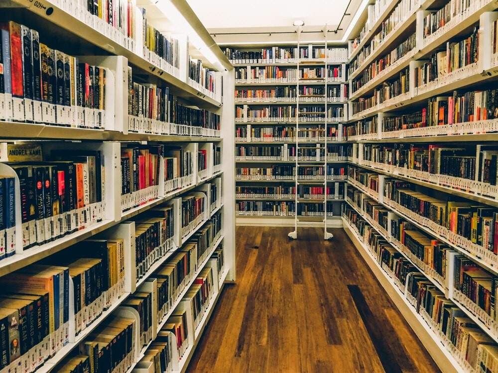 Literackie odkrycia, które zmieniają spojrzenie na świat