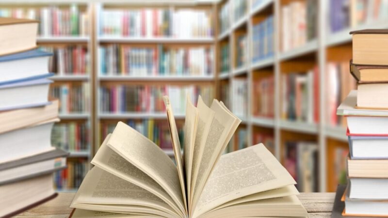 Katarzyna Groniec w Bibliotece: Wieczór Pełen Refleksji i Inspiracji