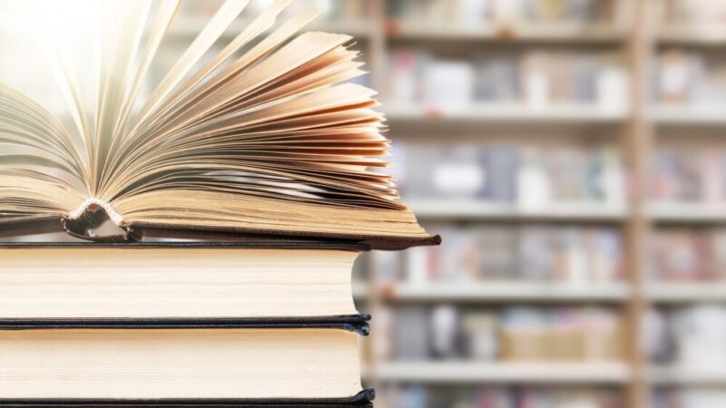 Motyle w Bibliotece: Kreatywne Przyjęcie Pełne Inspiracji dla Dzieci