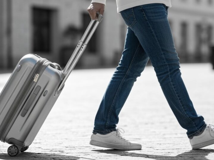 Odkryj tajemnice ptasich migracji na ornitologicznym spacerze po Wiśle!