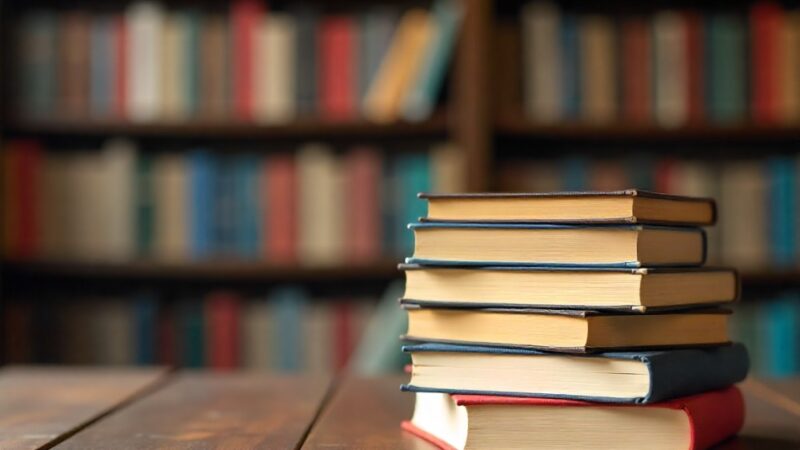 Sekrety roślin: Jak czują i myślą?