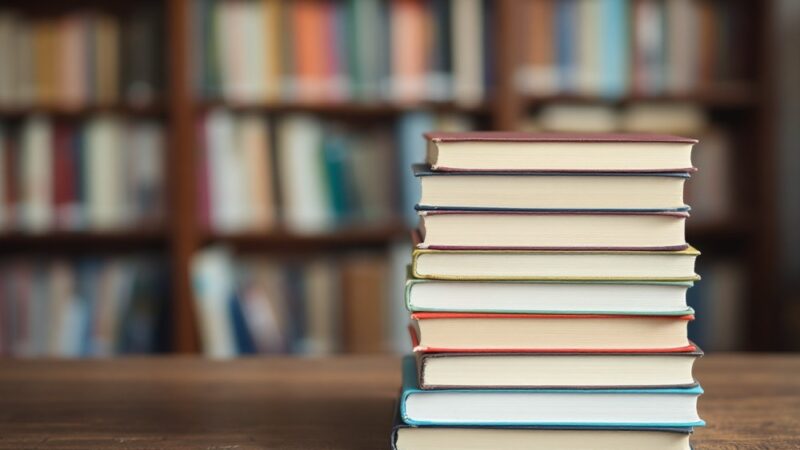 Kreatywne ilustracje: Dzieci odkrywają sztukę w Bibliotece Zielonej