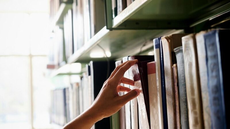 Jesienne odkrycia w bibliotece: dzieci wkraczają w świat książek