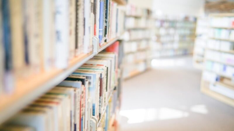 EKO-rękodzieło w akcji: Finałowy pokaz kreatywności w Bibliotece Przy Baleya!