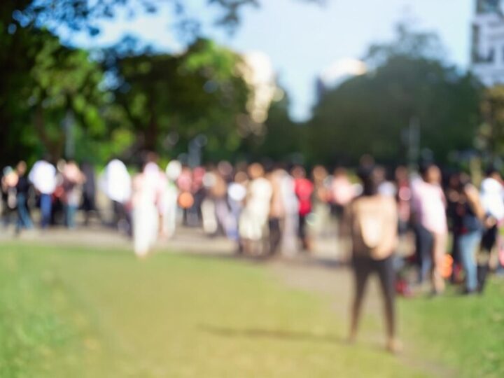 Misiaki Ursusiaki: Weekend Pełen Przygodowych Odkryć!