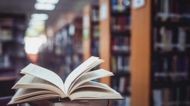 Gdańsk w cieniu tajemnic: Thriller, który wciąga do ostatniej strony