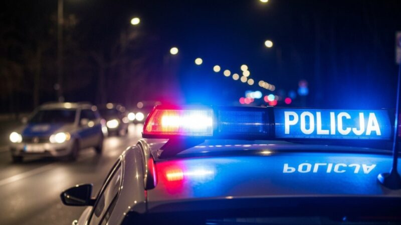 Policja rozbija narkotykowy gang: 3,5 kg dragów, broń i milion w gotówce!