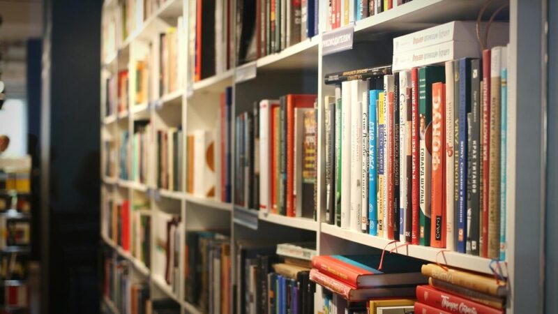 Arktyczne Wilki: Wyprawa Adama Wajraka na Grenlandię