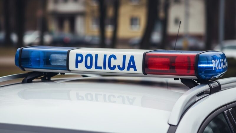 Granica w ogniu kontroli: liczby mówią same za siebie (14-20.11)