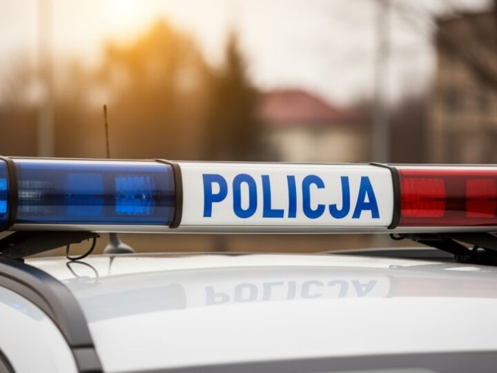 Zatrzymany oszust „na policjanta” w rękach śledczych!