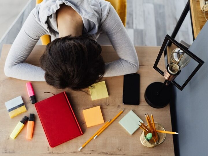 Zbuduj budkę dla owadów w sercu Zielonej Warszawy!