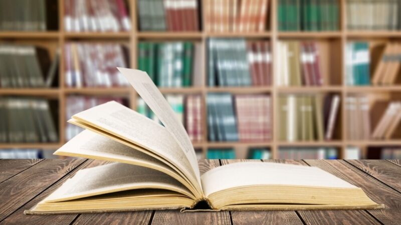 Literackie skarby w Wypożyczalni nr 69 – odkryj swoje nowe ulubione tytuły!