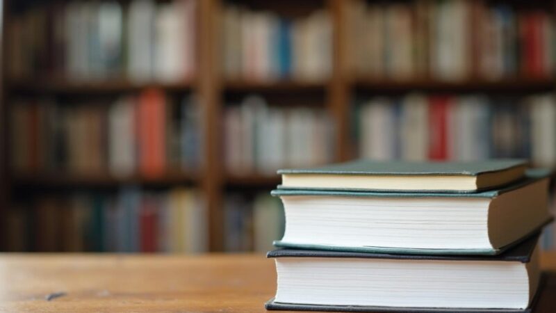 Plastusiowa ławeczka w Łomiankach: Nowe miejsce spotkań z literacką magią