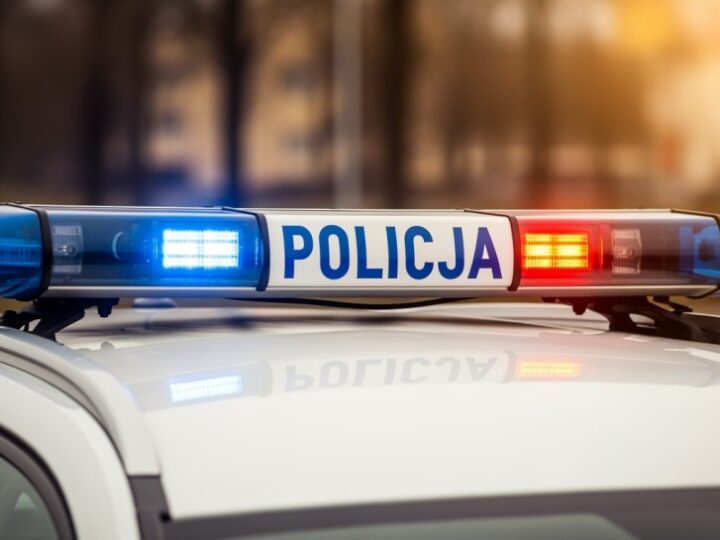 37-latka z Sokołowa Podlaskiego w rękach policji za wyłudzenia pożyczek