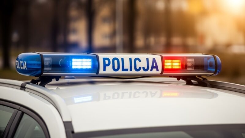 37-latka z Sokołowa Podlaskiego w rękach policji za wyłudzenia pożyczek