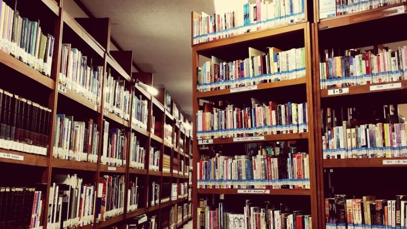 Wilnoteka w Targówku: Nowa przestrzeń literacka otwiera drzwi!