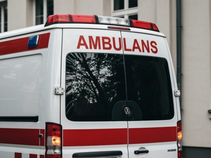 Rewolucyjna karetka weterynaryjna w Warszawie ratuje zwierzęta w kryzysie