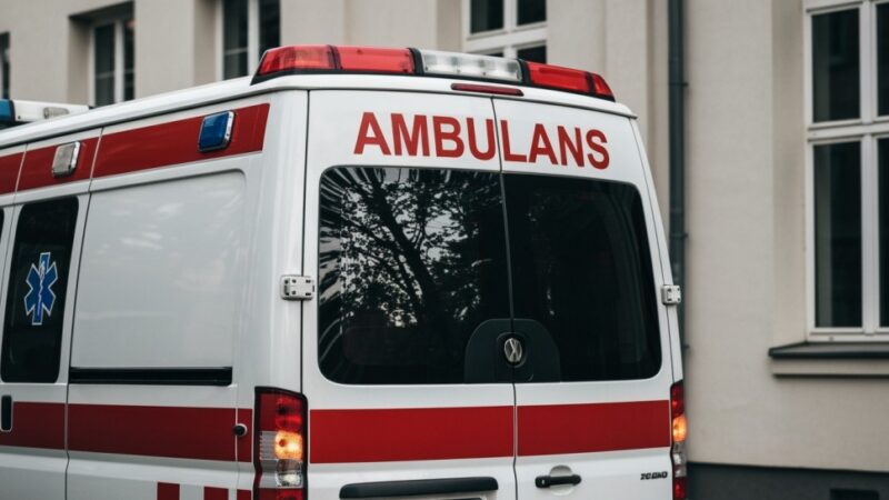 Rewolucyjna karetka weterynaryjna w Warszawie ratuje zwierzęta w kryzysie