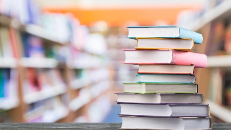 Ferie z książkami: Odkryj literackie nowości w Bibliotece Czwórka!