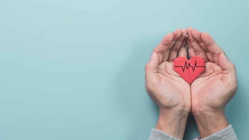 Schronisko Na Paluchu rewolucjonizuje opiekę nad zwierzętami z nową karetką weterynaryjną