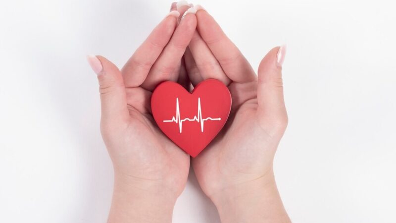 Tężnia solankowa w Parku Wiecha – zdrowie i relaks przez cały rok!