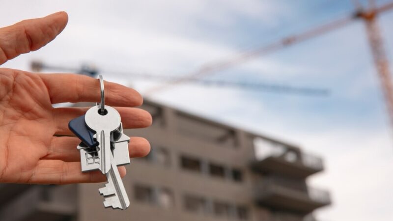 Willa Żabińskich: Ekologiczna renowacja z historią w tle