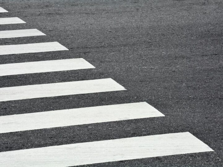 Bohaterska policjantka ratuje psa i zapobiega wypadkowi na S7