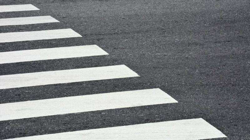 Bohaterska policjantka ratuje psa i zapobiega wypadkowi na S7