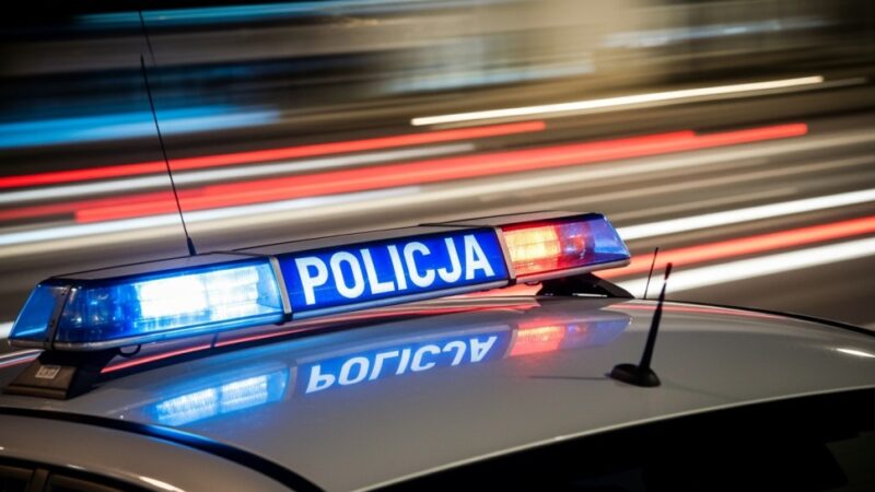 Kierowca bez uprawnień w rękach wymiaru sprawiedliwości po rutynowej kontroli