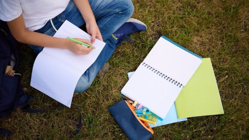 Odkryj magię Kamishibai: podróż wzdłuż Wisły w japońskim stylu