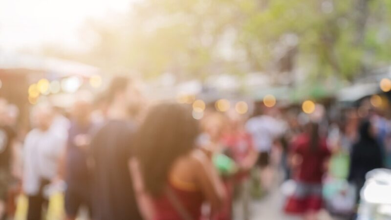 Trzy serca czekają na miłość – adoptuj Oscara, Agatkę lub Rumiego!