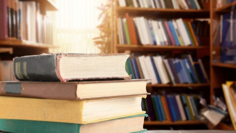 Zimowe literackie perełki w Wypożyczalni nr 88