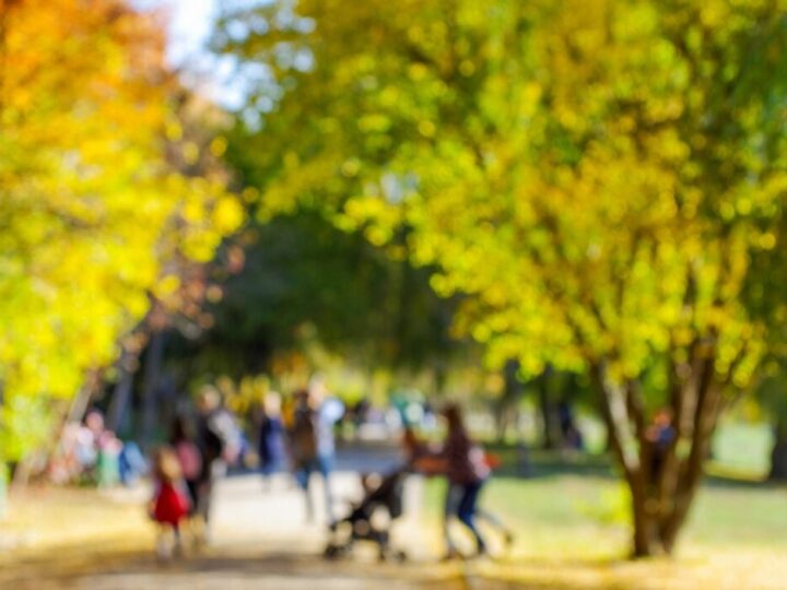 Rodzinne Warsztaty Kreatywności w MultiCentrum – Dołącz 21 Marca!