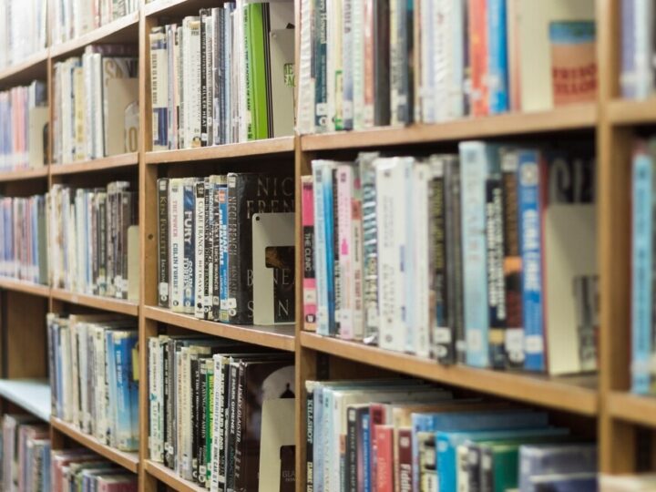 Zarządzaj finansami w literackim raju – dołącz do biblioteki jako Główny Księgowy!