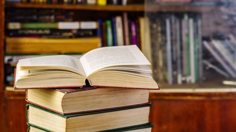 Luty w Bibliotece Zielonej: Teatr Pacynkowy i Przyjaciele Zwierząt