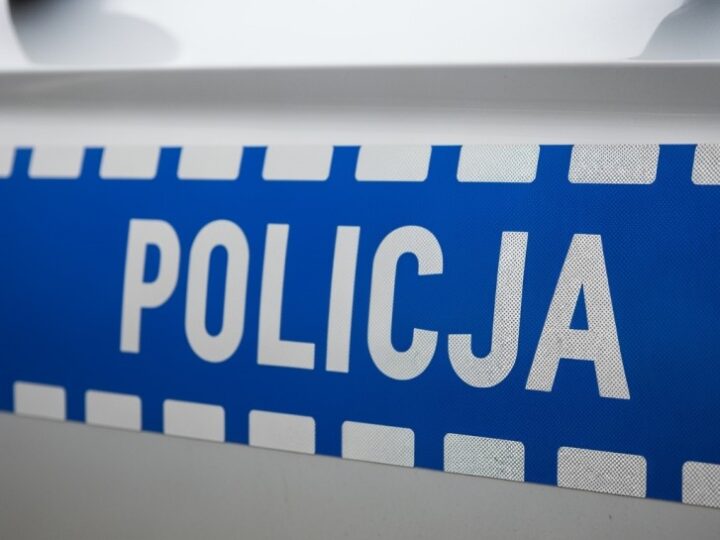 Mieszkaniec Białołęki oskarżony o celowe potrącenie psa sąsiadki