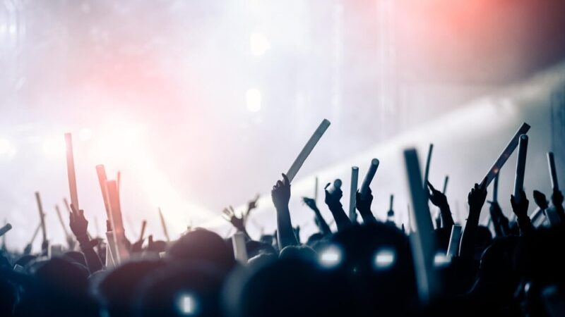 Rogucki i Normalni Ludzie: emocjonujący koncert, który musisz zobaczyć!