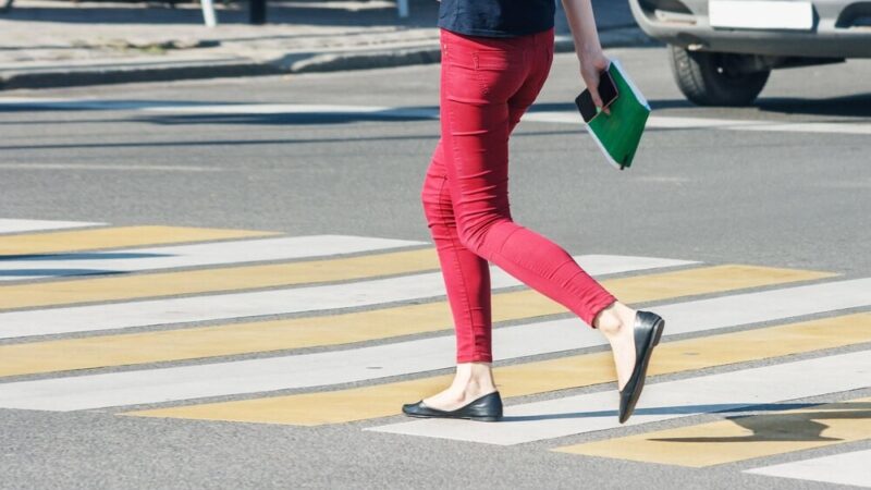 Bezpieczne Pasy: Przedszkolaki Uczą się Od Komisarza Zebry