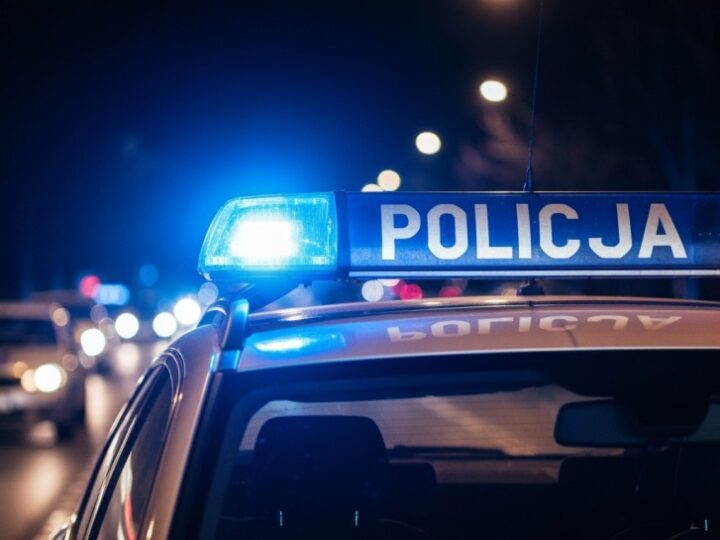 Policja rozbija dziuplę samochodową: kradzież, narkotyki i zatrzymania!