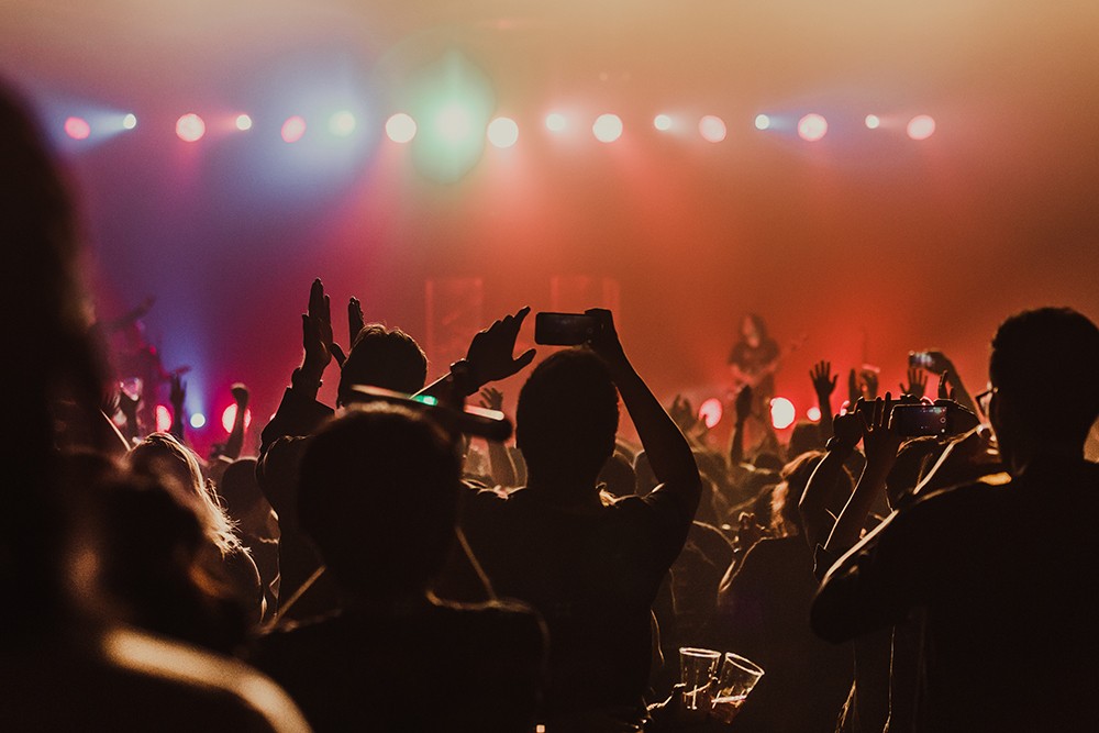 Rogucki na żywo: Odkryj magię muzyki w Klubie Proxima!